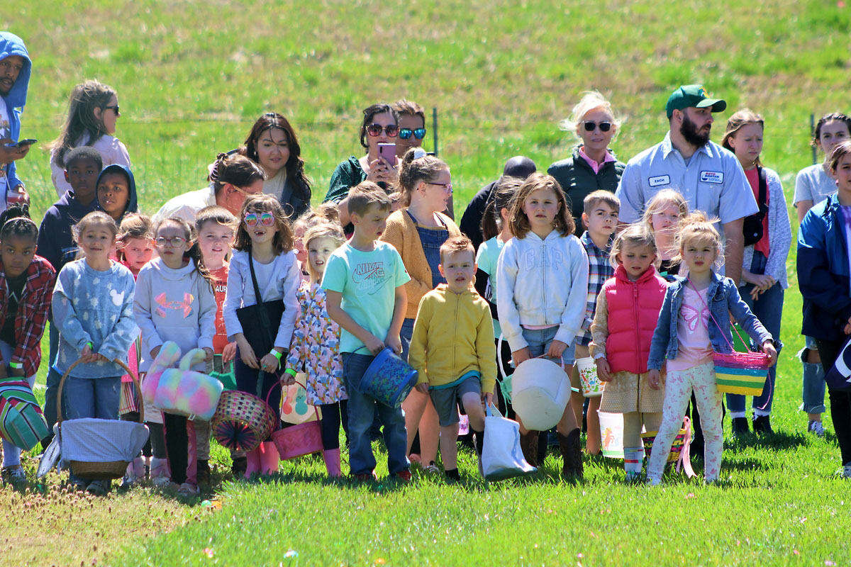 Beachaven Vineyards & Winery hosts Easter Egg Hunt for Kids 10 and under and adults 21 and over. (Clarksville Online) Beachaven Vineyards & Winery hosts Easter Egg Hunt for Kids 10 and under and adults 21 and over. (Clarksville Online)