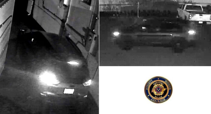 These are photos of the vehicle the arsonist was driving.