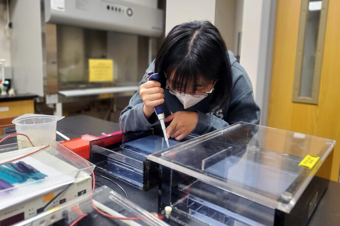 Katie Li working in Dr. Carol Baskauf’s lab.