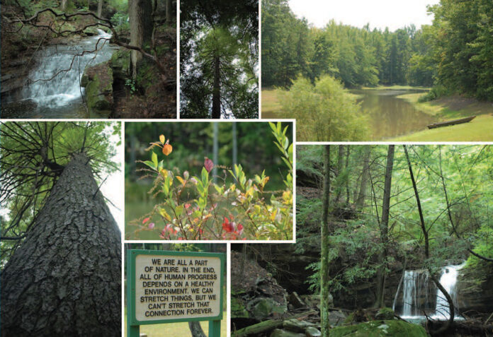 Big Forks Forest Legacy Tract in Marion County, Tennessee.