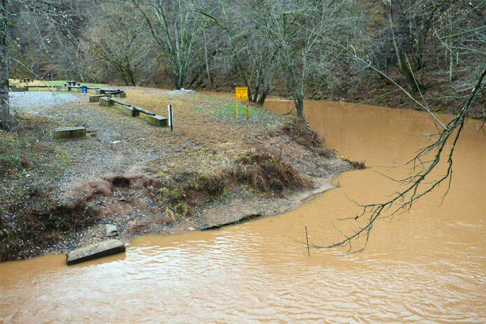 Billy Dunlop Streambank Restoration Project