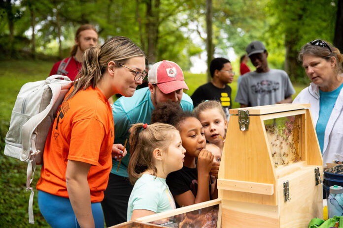 Children search for a beehive's queen during a demonstration at Austin Peay State University's Pollinator Week event. (APSU)