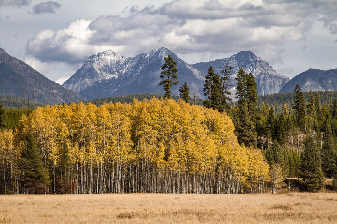 Glacier National Park. (National Park Service)
