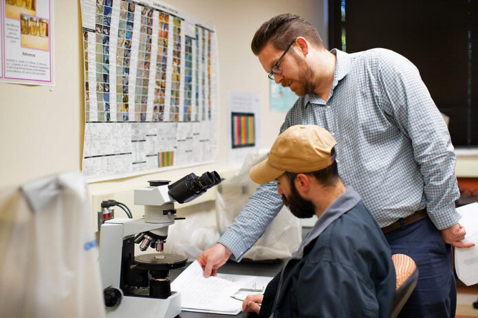 Austin Peay State University professor Dr. Haroldson works with a student. (APSU)