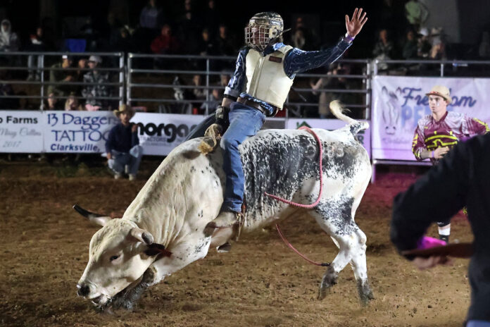Buckin' for Boobies. (Mark Haynes, Clarksville Online)