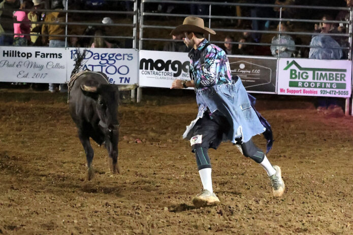 Free style bullfighting. (Mark Haynes, Clarksville Online)