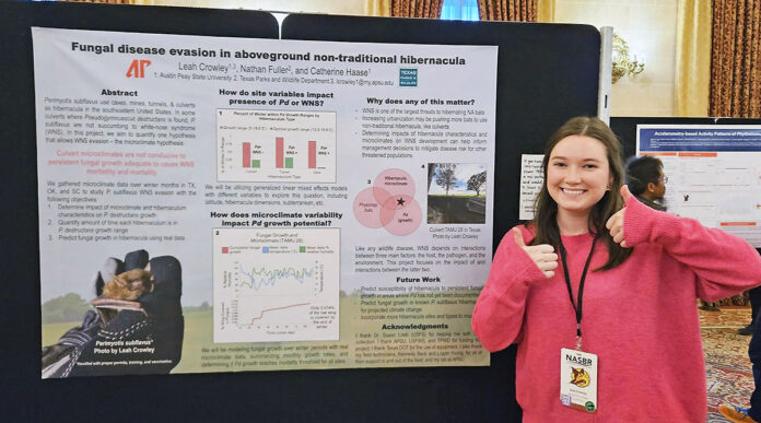 Austin Peay State University student Leah Crowley presents a poster at the North American Society of Bat Research. (APSU)