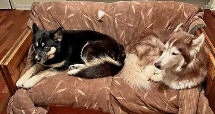 Summer & Max