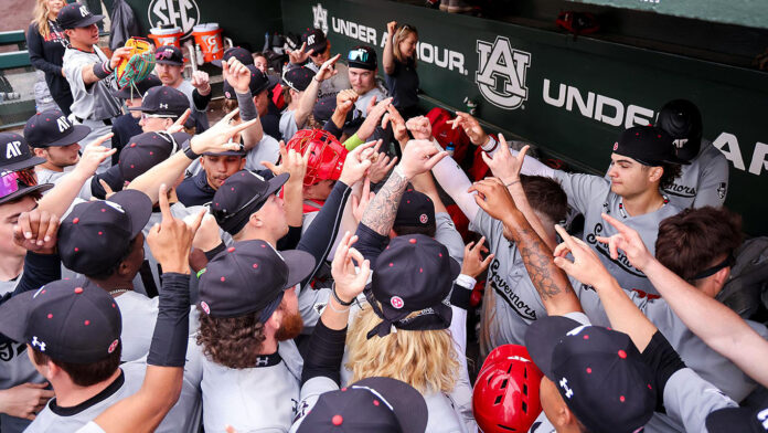 Austin Peay State Univesity Govs Baseball Opens ASUN Action at Lipscomb Bisons. (Casey Crigger, APSU Sports Information)
