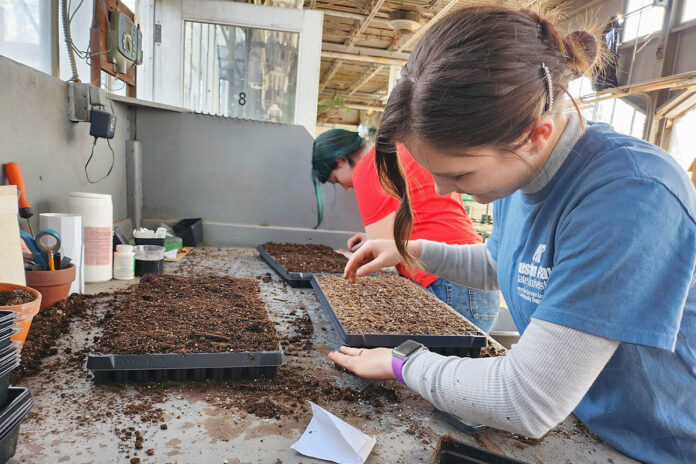 Austin Peay State University students help plant over 5,000 seeds for an eventual fresh produce distribution during an Alternative Break trip to St. Louis, Missouri. (APSU)