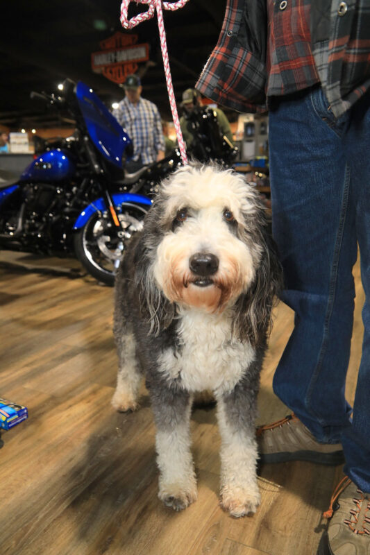 Appleton Harley-Davidson recently hosted its 19th Annual Chili Cook-Off. (Tony Centonze, Clarksville Living Magazine)