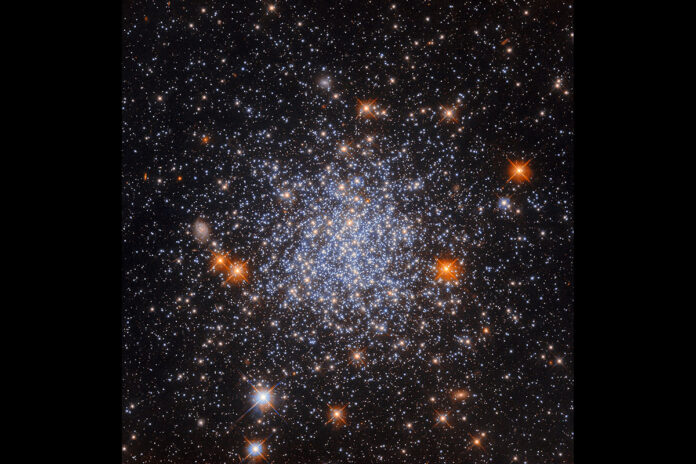 This image from the NASA/ESA Hubble Space Telescope shows a globular cluster called NGC 1651. (ESA/Hubble & NASA, L. Girardi, F. Niederhofer)