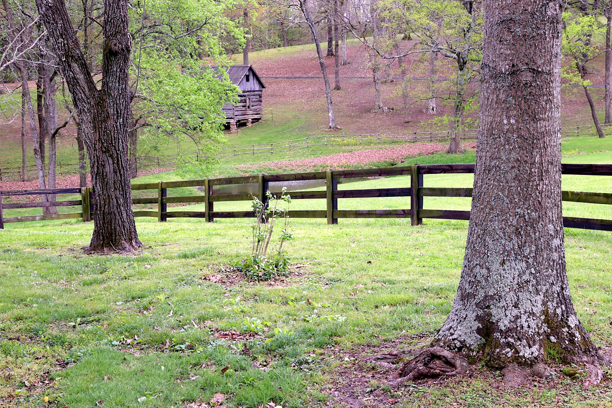 Historic Collinsville. (Mark Haynes, Clarksville Online) Historic Collinsville. (Mark Haynes, Clarksville Online)