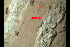 An annotated version of the image of “Cheyava Falls” indicates the markings akin to leopard spots, which have particularly captivated scientists, and the olivine in the rock. The image was captured by the WATSON instrument on NASA’s Perseverance Mars rover on July 18. (NASA/JPL-Caltech/MSSS)