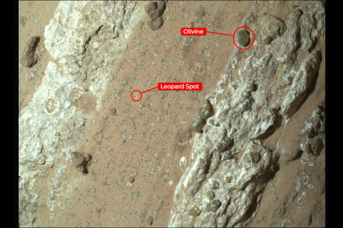 An annotated version of the image of “Cheyava Falls” indicates the markings akin to leopard spots, which have particularly captivated scientists, and the olivine in the rock. The image was captured by the WATSON instrument on NASA’s Perseverance Mars rover on July 18. (NASA/JPL-Caltech/MSSS)