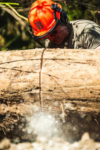 Technical Sgt. Ryan Schulze, a pavement and construction equipment craftsman with the 118th Wing, cuts a fallen tree with a chainsaw during Hurricane Helene relief efforts in Elizabethton, October 5. (Senior Airman Ben Cash)