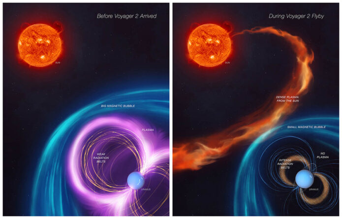 The first panel of this artist’s concept depicts how Uranus’s magnetosphere — its protective bubble — was behaving before the flyby of NASA’s Voyager 2. The second panel shows an unusual kind of solar weather was happening during the 1986 flyby, giving scientists a skewed view of the magnetosphere. (NASA/JPL-Caltech)