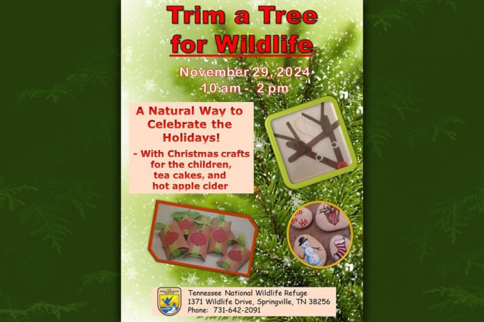Friends of Tennessee board member Kathy Veazey works helps local children to create a Christmas tree from a painted pinecone during a previous Trim a Tree event. Around a dozen crafts centers will be available as well as cookies, hot chocolate and s'mores can be enjoyed by a warm fireplace. All festivities will happen on Black Friday, November 29th from 10:00am - 2:00pm at the refuge visitor center.