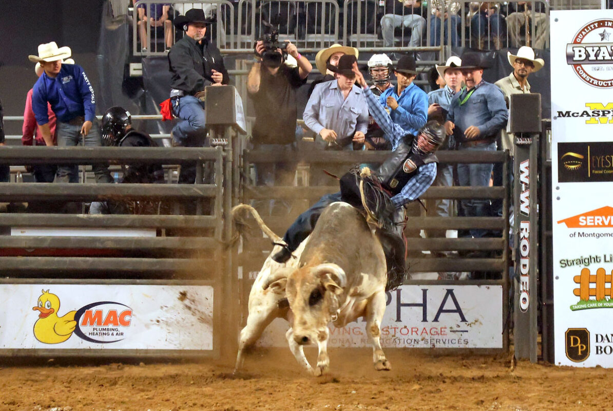 Cory Rasch Bull Riding (