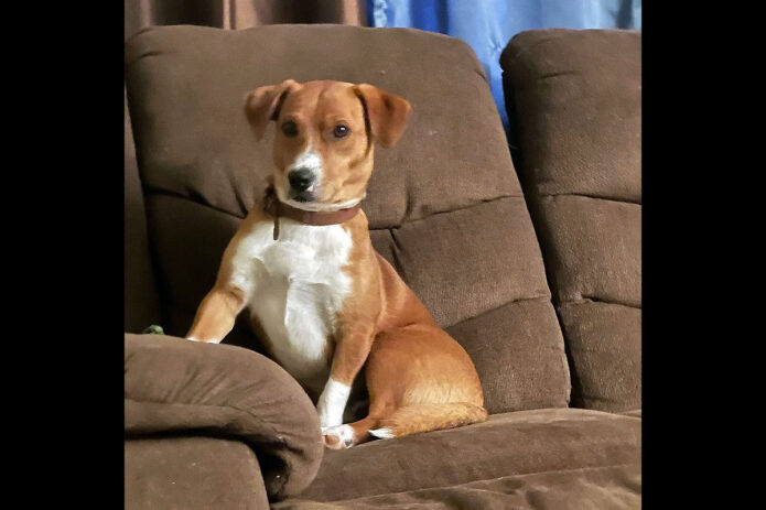 Hot Rod’s Garage - Doc