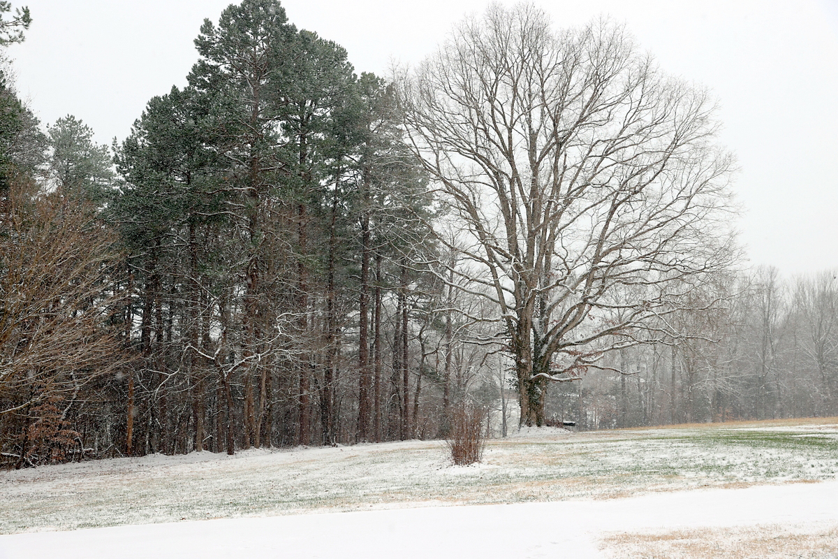 Montgomery County Side Roads. (Mark Haynes, Clarksville Online) Montgomery County Side Roads. (Mark Haynes, Clarksville Online)
