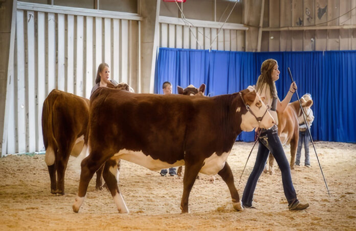 Tennessee Agricultural Fairs