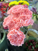 Carnations at Kroger Floral Department