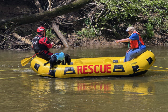 Dive Teams, K9 Units Join Search for 12-Year-Old Missing in River