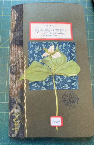 Billy Renkl’s Garden Journal