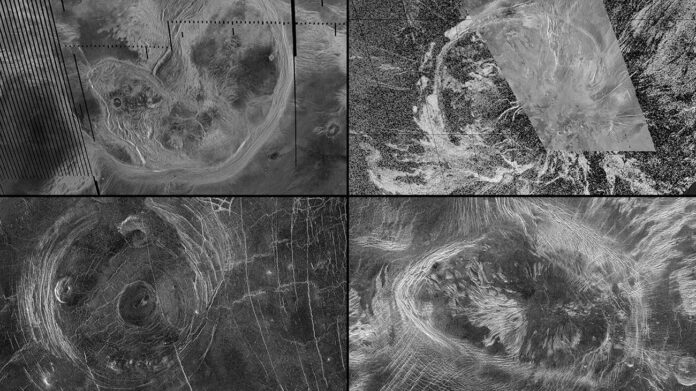 New research suggests vast surface features on Venus called coronae continue to be shaped by tectonic processes. Observations of these features from NASA’s Magellan mission include, clockwise from top left, Artemis Corona, Quetzalpetlatl Corona, Bahet Corona, and Fotla Corona. (NASA/JPL-Caltech)