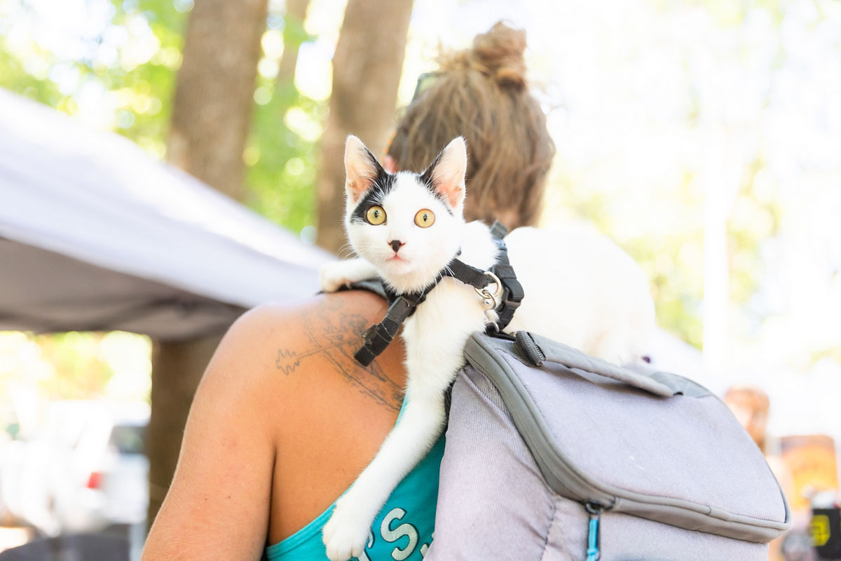 PossumStock PossumStock