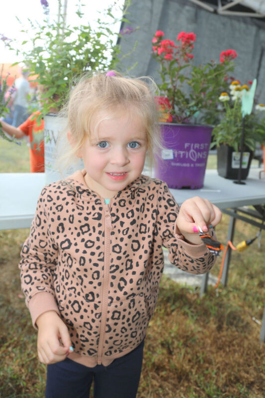 Oak Grove Butterfly Festival 2025 Oak Grove Butterfly Festival 2025
