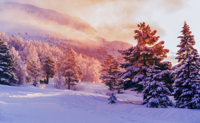 Record-Breaking 122.4 Million Americans Predicted to Travel This Holiday Season. (AAA)