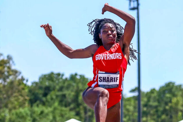 Search for Louisiana Business Filings