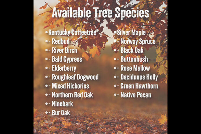 Available Tree Species