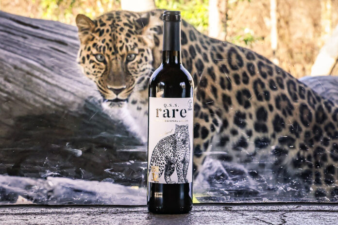 Wine with Amur Leopard. (Nashville Zoo)
