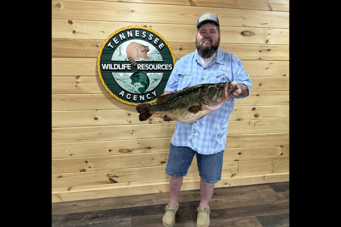 Largemouth Bass Caught on Nickajack Reservoir by Whitwell Resident Darren Nunley