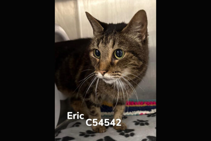 Montgomery County Animal Care and Control - Eric
