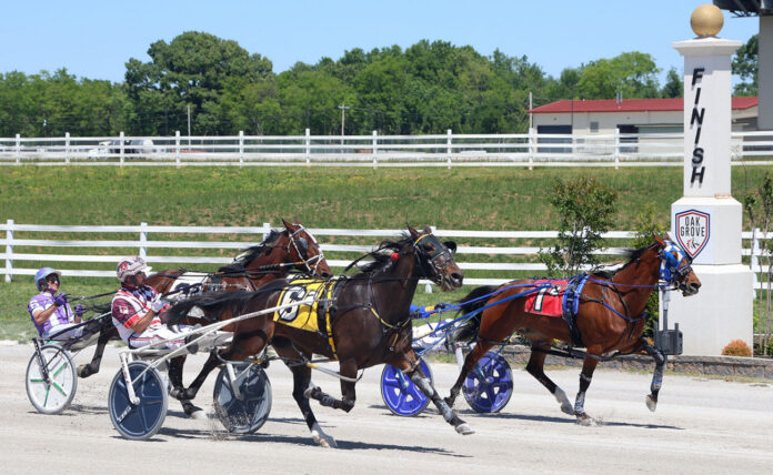 Oak Grove Racing Features Massive Pick-4 Value Opportunity With $17K Carryover. (Tony Centonze)