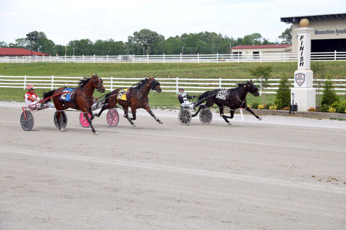 Doc`s Girl Friday with driver Randal Jerrell takes the finish on May 5th horse racing at Oak Grove Racing and Gaming. (Tony Centonze Photography)