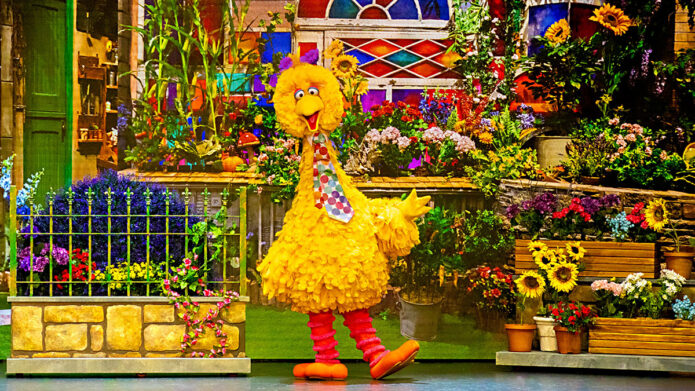Big Bird