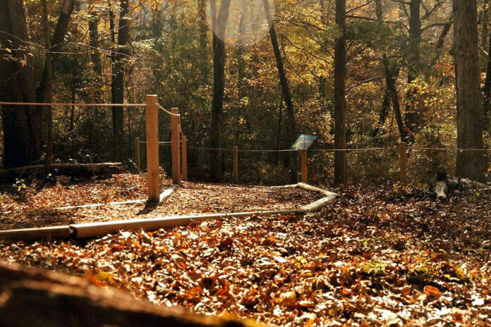 The tactile trail at Paris Landing State Park includes wooden posts with a white cane-detectable rail along a natural surface. An interpretive panel is in the background. (Ash Summerford)