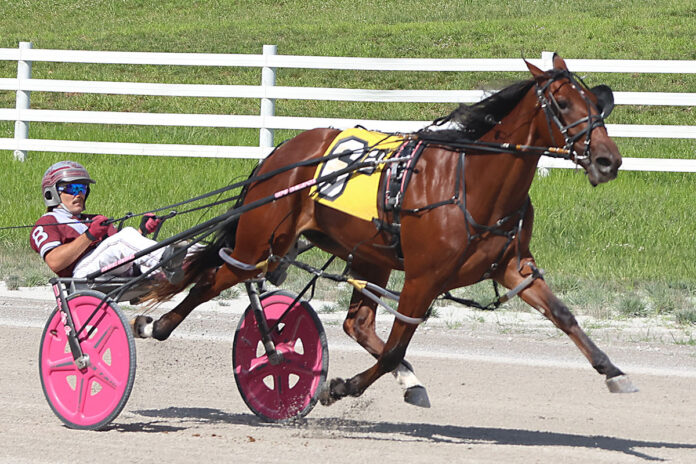 Dame Frances with Atlee Bender winning the $80,000 KYSS final for 2-year-old pacing fillies in a track-record 1:50.4 mile. (Tony Centonze)