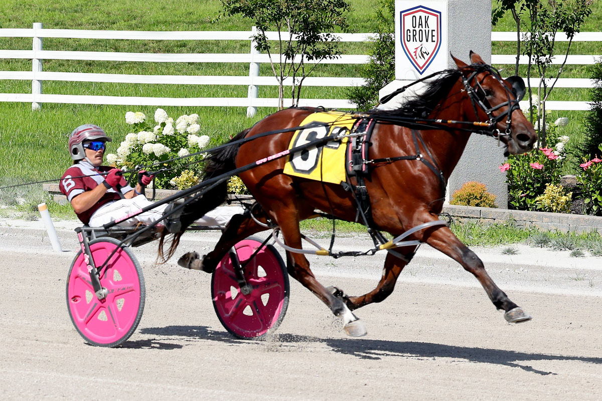 Harness racing action at Oak Grove Racing, Gaming & Hotel. (Mark Haynes, Clarksville Online) Harness racing action at Oak Grove Racing, Gaming & Hotel. (Mark Haynes, Clarksville Online)