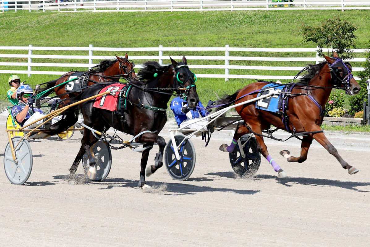Harness racing action at Oak Grove Racing, Gaming & Hotel. (Mark Haynes, Clarksville Online) Harness racing action at Oak Grove Racing, Gaming & Hotel. (Mark Haynes, Clarksville Online)