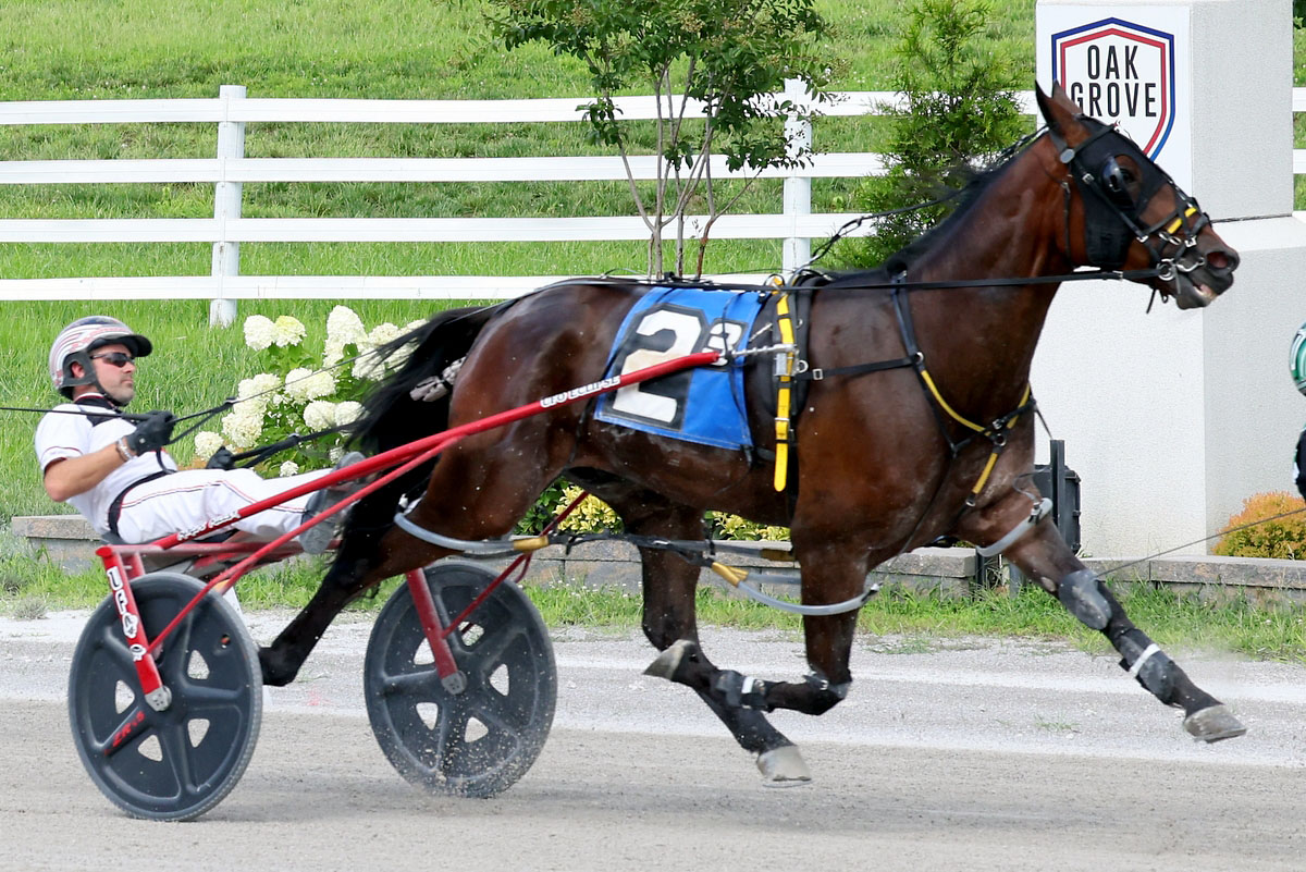 Harness racing action at Oak Grove Racing, Gaming & Hotel. (Mark Haynes, Clarksville Online) Harness racing action at Oak Grove Racing, Gaming & Hotel. (Mark Haynes, Clarksville Online)