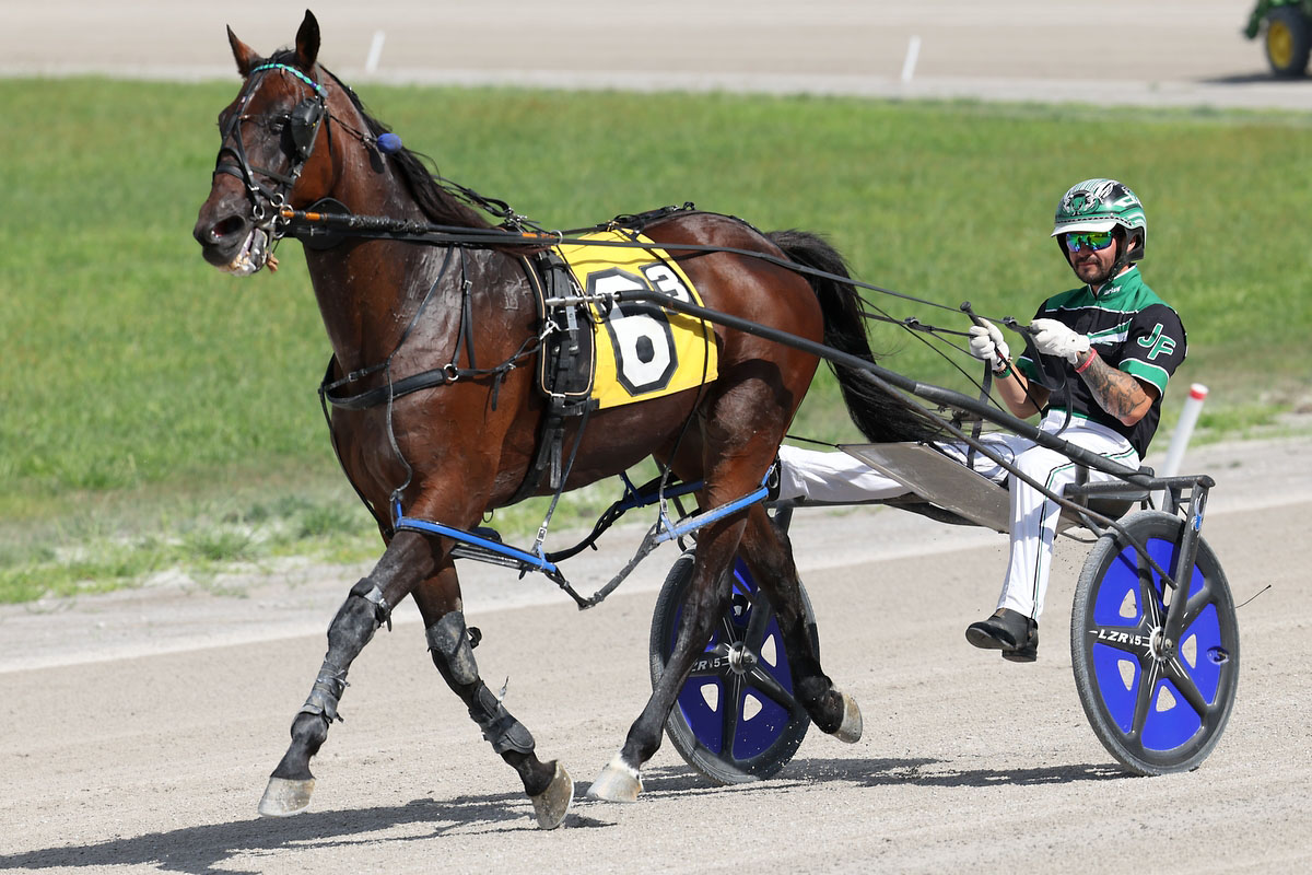 Harness racing action at Oak Grove Racing, Gaming & Hotel. (Mark Haynes, Clarksville Online) Harness racing action at Oak Grove Racing, Gaming & Hotel. (Mark Haynes, Clarksville Online)