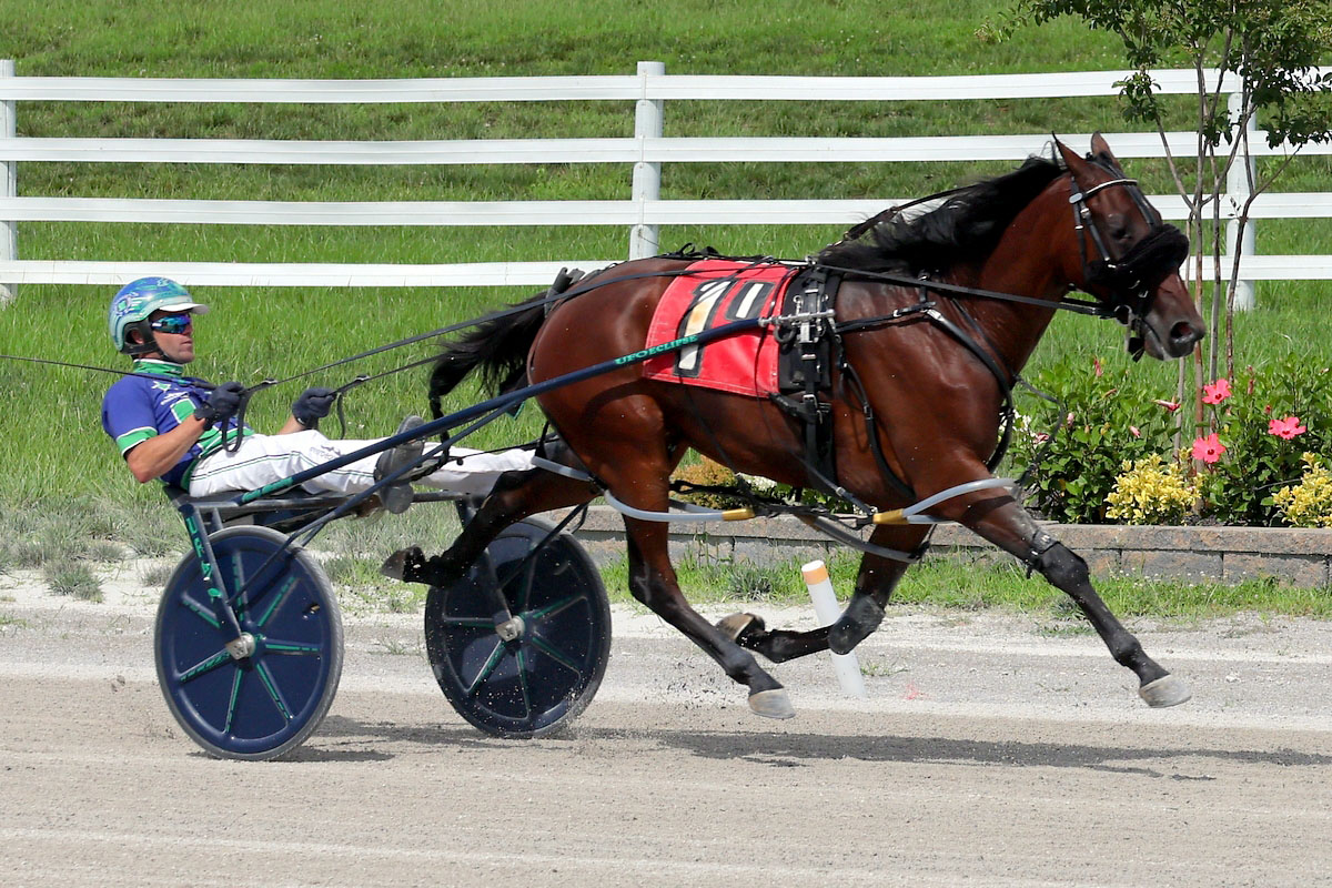 Harness racing action at Oak Grove Racing, Gaming & Hotel. (Mark Haynes, Clarksville Online) Harness racing action at Oak Grove Racing, Gaming & Hotel. (Mark Haynes, Clarksville Online)