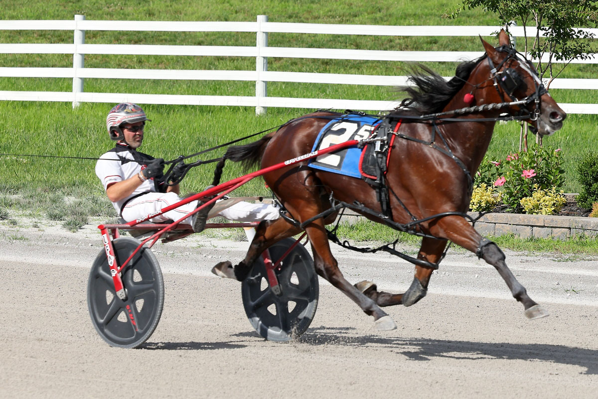 Harness racing action at Oak Grove Racing, Gaming & Hotel. (Mark Haynes, Clarksville Online) Harness racing action at Oak Grove Racing, Gaming & Hotel. (Mark Haynes, Clarksville Online)