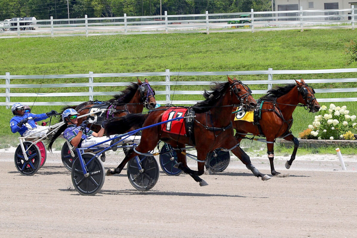 Harness racing action at Oak Grove Racing, Gaming & Hotel. (Mark Haynes, Clarksville Online) Harness racing action at Oak Grove Racing, Gaming & Hotel. (Mark Haynes, Clarksville Online)